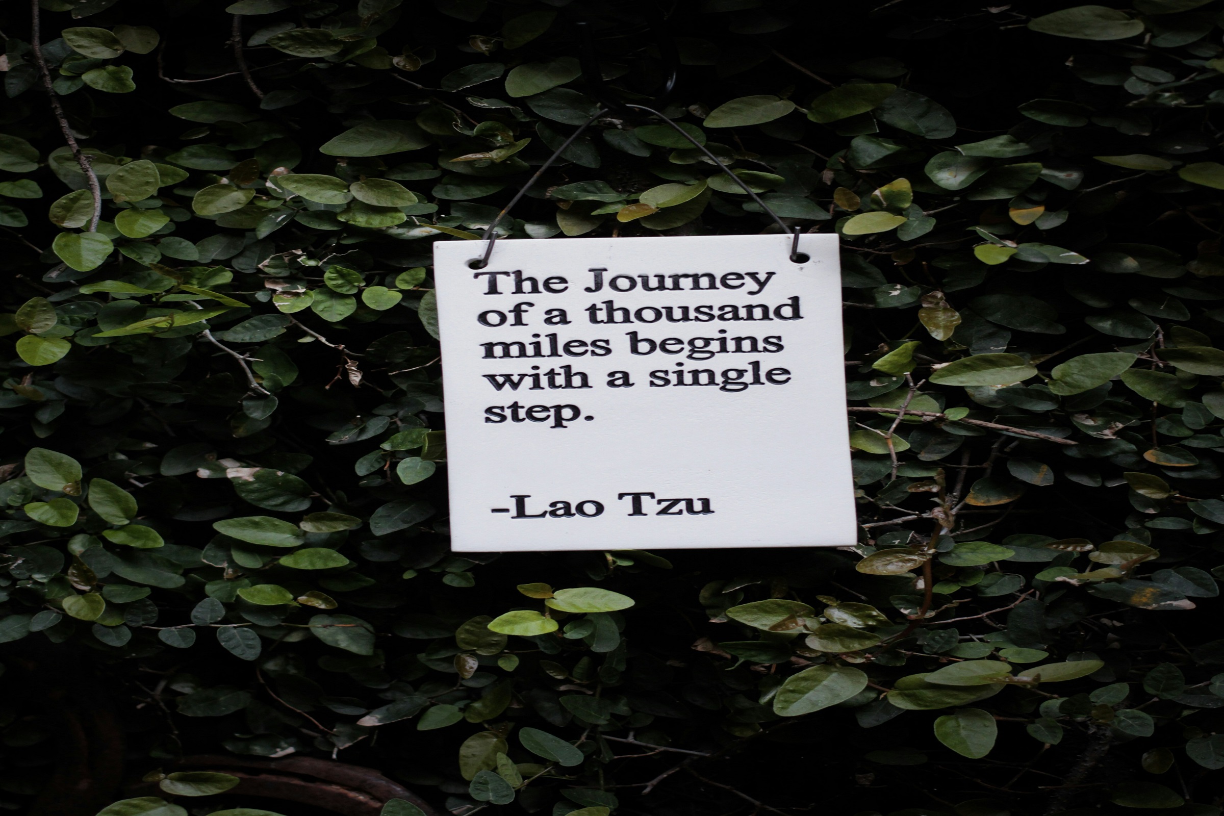 Embark on an Unforgettable Journey